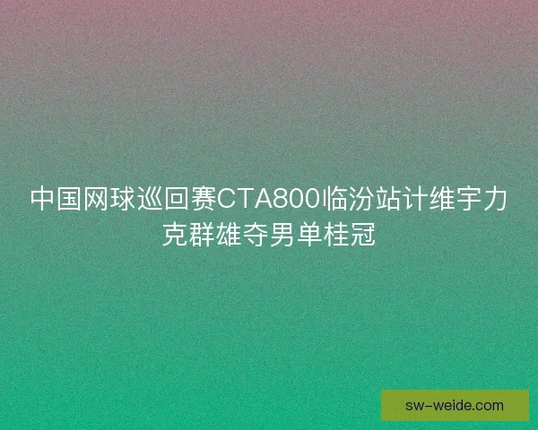 中国网球巡回赛CTA800临汾站计维宇力克群雄夺男单桂冠