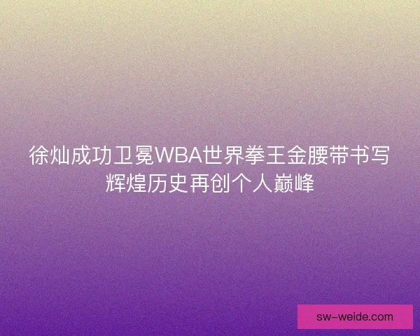 徐灿成功卫冕WBA世界拳王金腰带书写辉煌历史再创个人巅峰